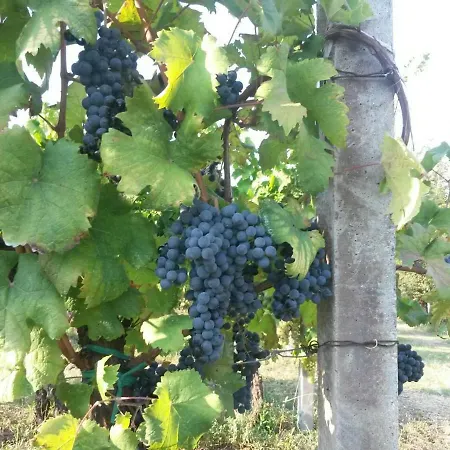 Monte Altore * Teolo