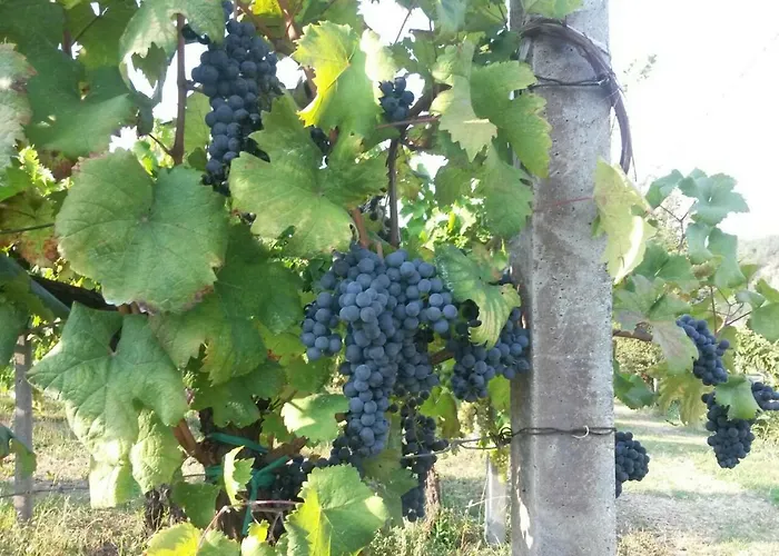 Monte Altore * Teolo